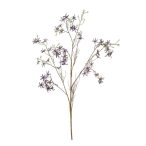 Forsythia ág 150cm - Lila