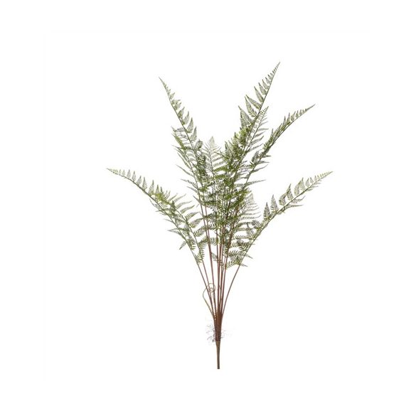 Forest fern bush x12 125cm