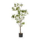Tea leaf tree 120cm (műanyag cserépben)