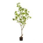 Tea leaf tree 185cm (műanyag cserépben)