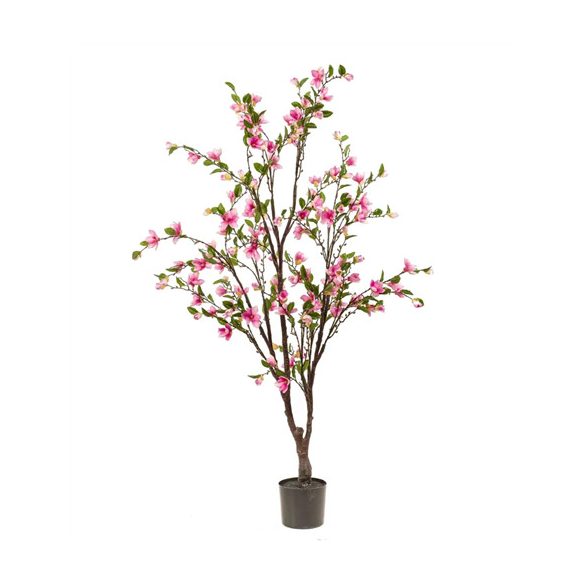 Magnolia tree 170cm - Rózsaszín
