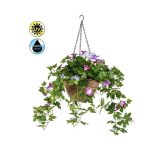 Petunia függő kosárban UV álló 45 cm - Lila