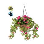 Geranium függő kosárban UV álló 45cm - Fukszia