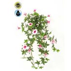   Hajnalka csüngő (Morning glory) UV álló 65cm - Rózsaszín