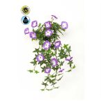 Hajnalka csüngő (Morning glory) UV álló 65 cm - Lila