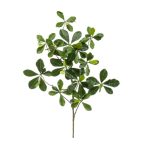 Oriental olive ág 65cm - Zöld