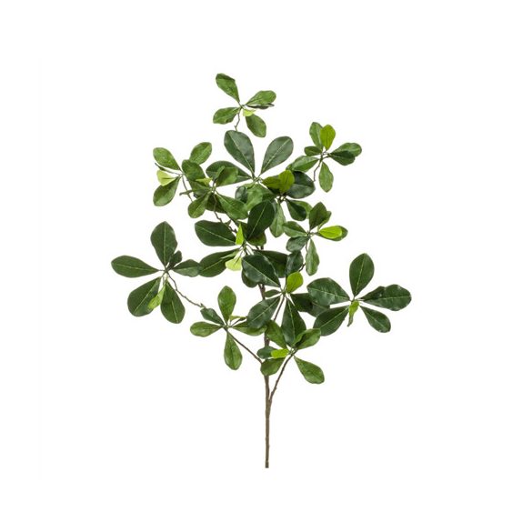 Oriental olive ág 65cm - Zöld