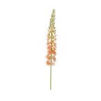 Eremurus spray 105cm - Arany