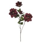 Clematis velvet spray 83cm - Bordó