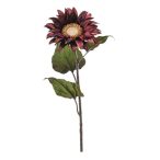 Sunflower velvet spray 78cm - Bordó