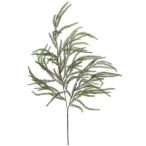 Cryptomeria spray 90cm
