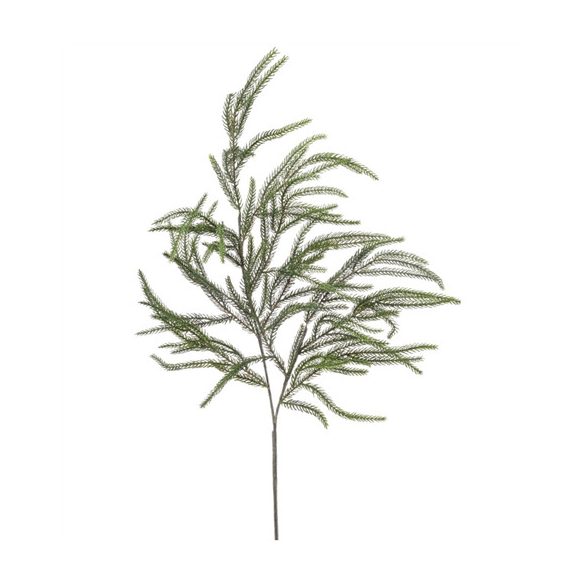 Cryptomeria spray 90cm