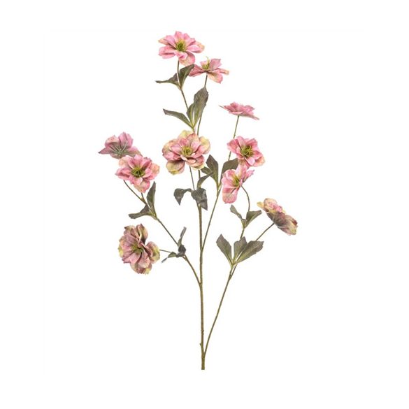 Helleborus spray 112cm - Rózsaszín