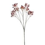 Gypsophilia spray 68cm - Burgundy