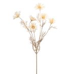 Daisy spray x6 80cm - Krém