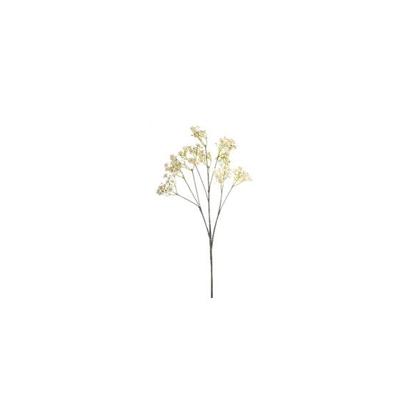 Jasmine branch 115cm - Krém