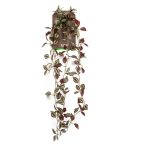 Tradescantia hanging bush 85cm - Burgundy