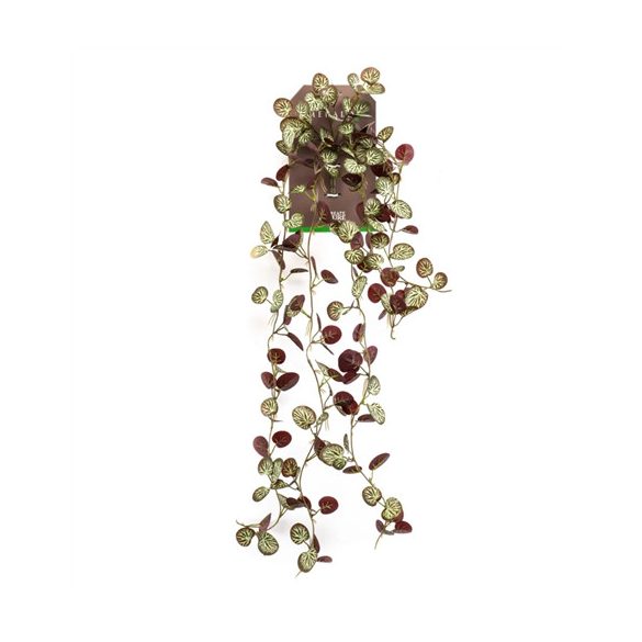 Saxifraga hanging bush 85cm - Burgundy