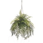 Rumohra adiantiformis hanging deco 80cm