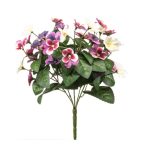 Pansy bush 30cm - Fuchsia/lila