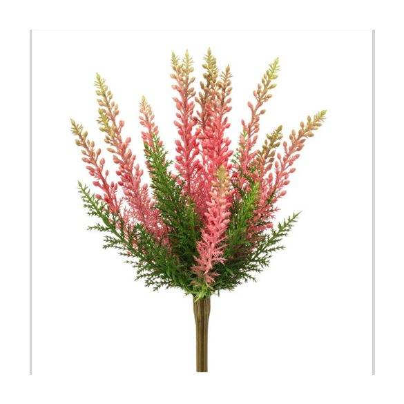 Erica buch UV 29cm - Pink