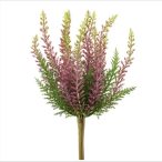 Erica buch UV 29cm - Lila