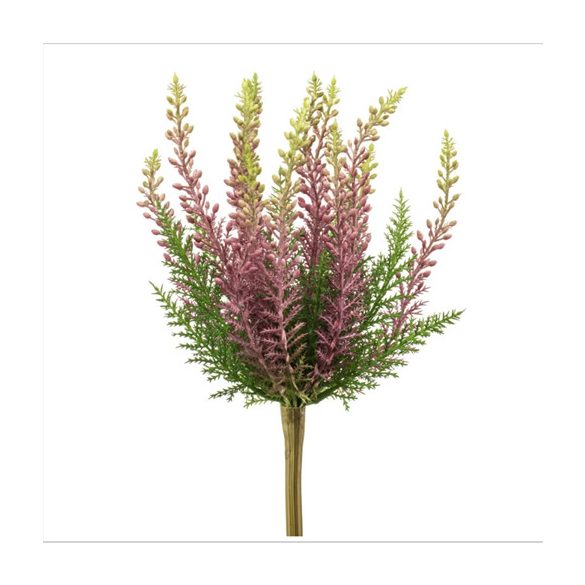 Erica buch UV 29cm - Lila