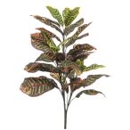 Croton bush x3 70cm