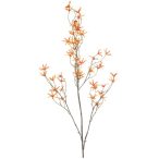 Tweedia spray 120cm - Narancs