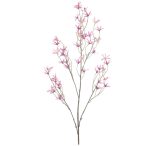 Tweedia spray 120cm - Lila