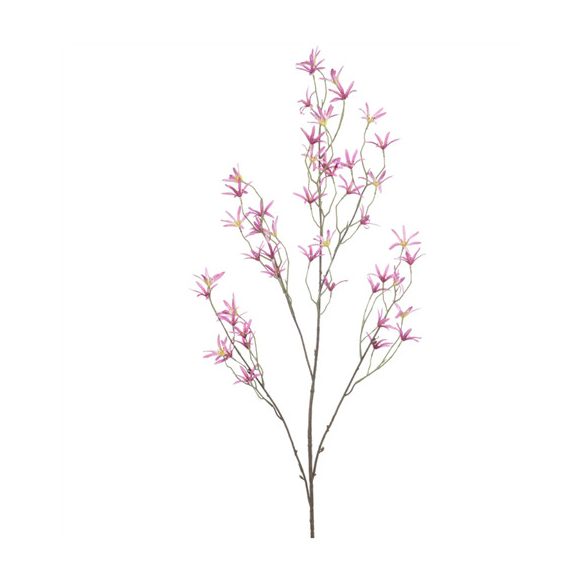 Tweedia spray 120cm - Lila