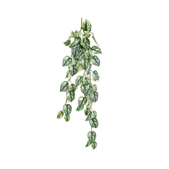 Scindapsus hanging spray csüngő 85cm - Zöld