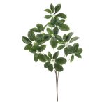 Schefflera branch 110cm - Zöld