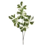 Schefflera branch 110cm - Zöld/fehér