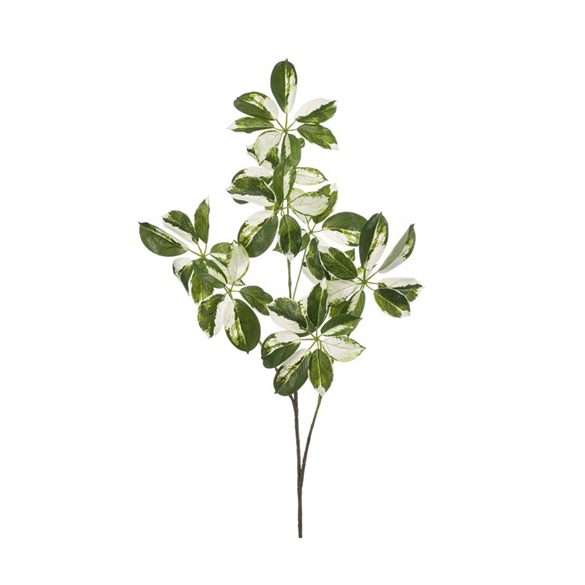 Schefflera branch 110cm - Zöld/fehér