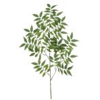 Ruscus spray 95cm - Zöld