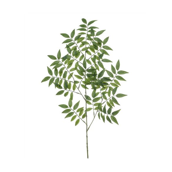 Ruscus spray 95cm - Zöld