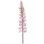 Eremurus spray 95cm - Rózsaszín
