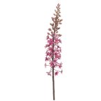 Eremurus spray 95cm - Fuchsia