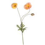 Poppy spray x3 75cm - Barack