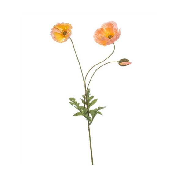 Poppy spray x3 75cm - Barack