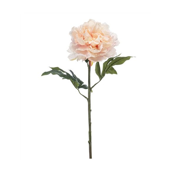 Peony jumbo spray 75cm - Barack
