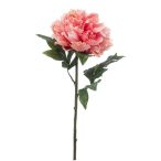 Peony jumbo spray 75cm - Rózsaszín