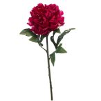 Peony jumbo spray 75cm - Fuchsia