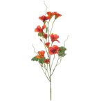 Nasturtium spray 78cm - Narancs