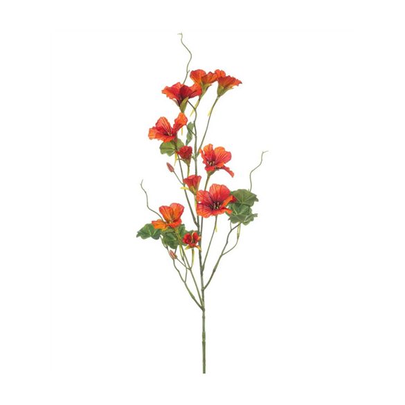 Nasturtium spray 78cm - Narancs