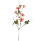 Nasturtium spray 78cm - Barack