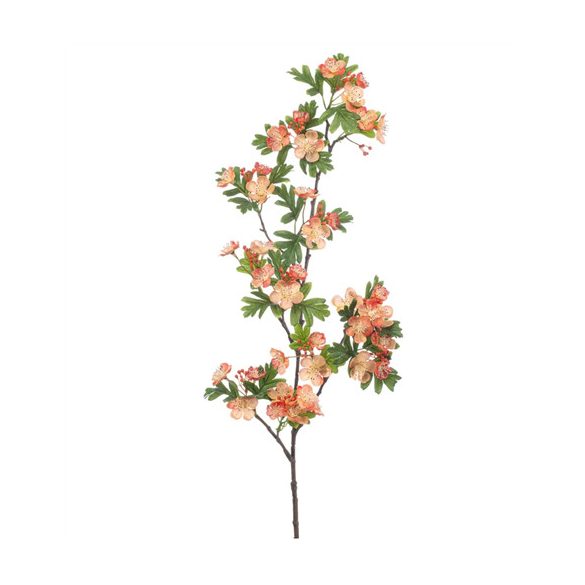 Crataegus spray 95cm - Narancs