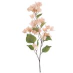 Bougainvillea spray 85cm - Barack