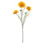 Cosmos spray 56cm - Narancs